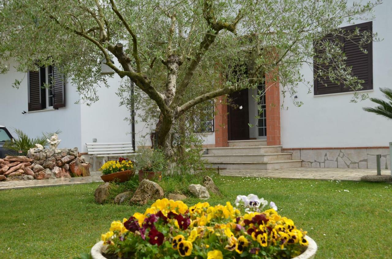 Hotel Il Grifo Sabaudia Exterior foto
